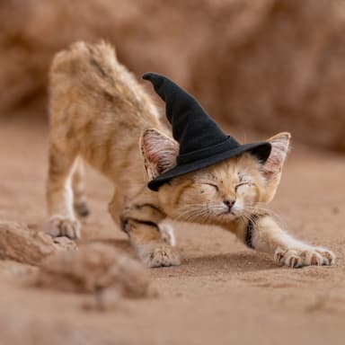 SNDWITCH logo